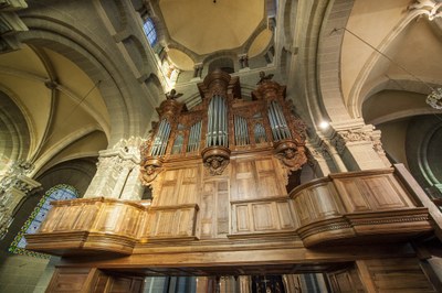 programme-de-lete-a-la-cathedrale